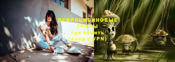 ПСИЛОЦИБИНОВЫЕ ГРИБЫ Абинск