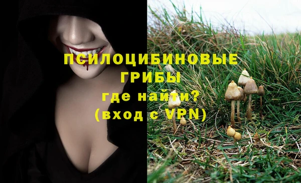 ПСИЛОЦИБИНОВЫЕ ГРИБЫ Абинск