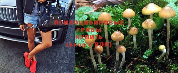 а пвп мука Абаза