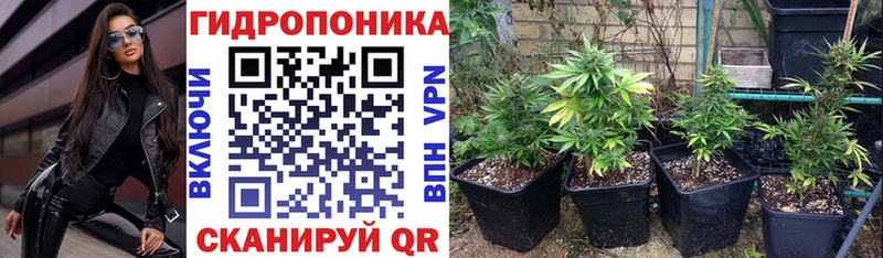 Конопля AK-47 Балашиха